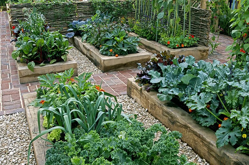 19 awesome gardening ideas for beginners - leafpanda