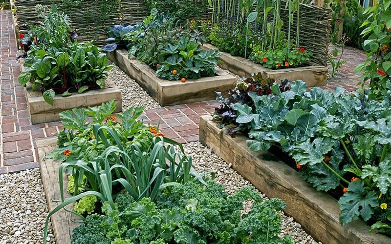 self-sufficient garden