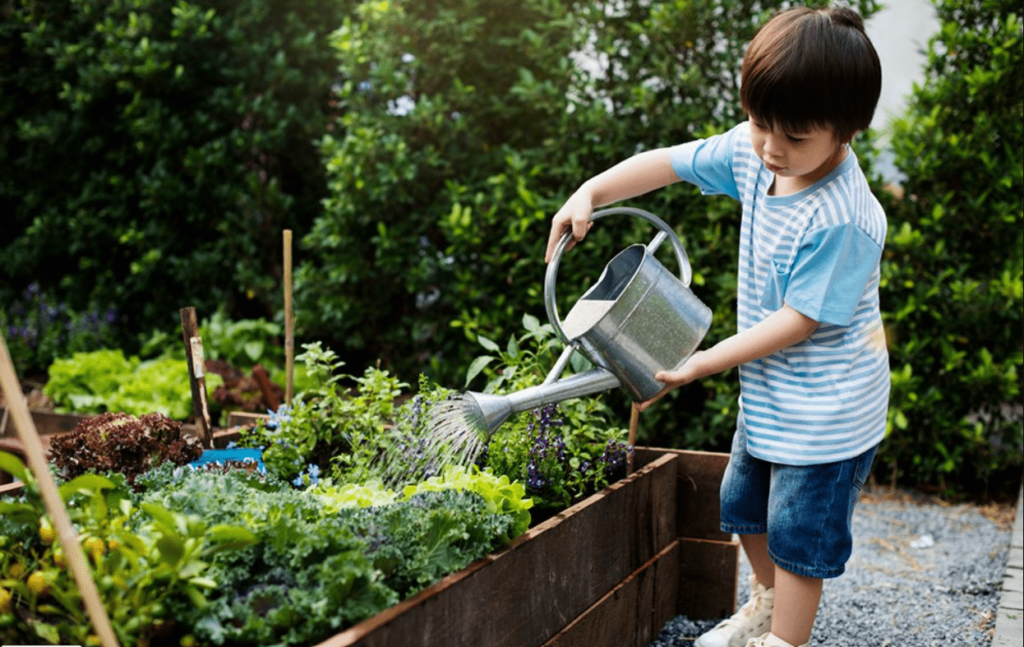 9 easy Gardening tricks for Beginner gardeners