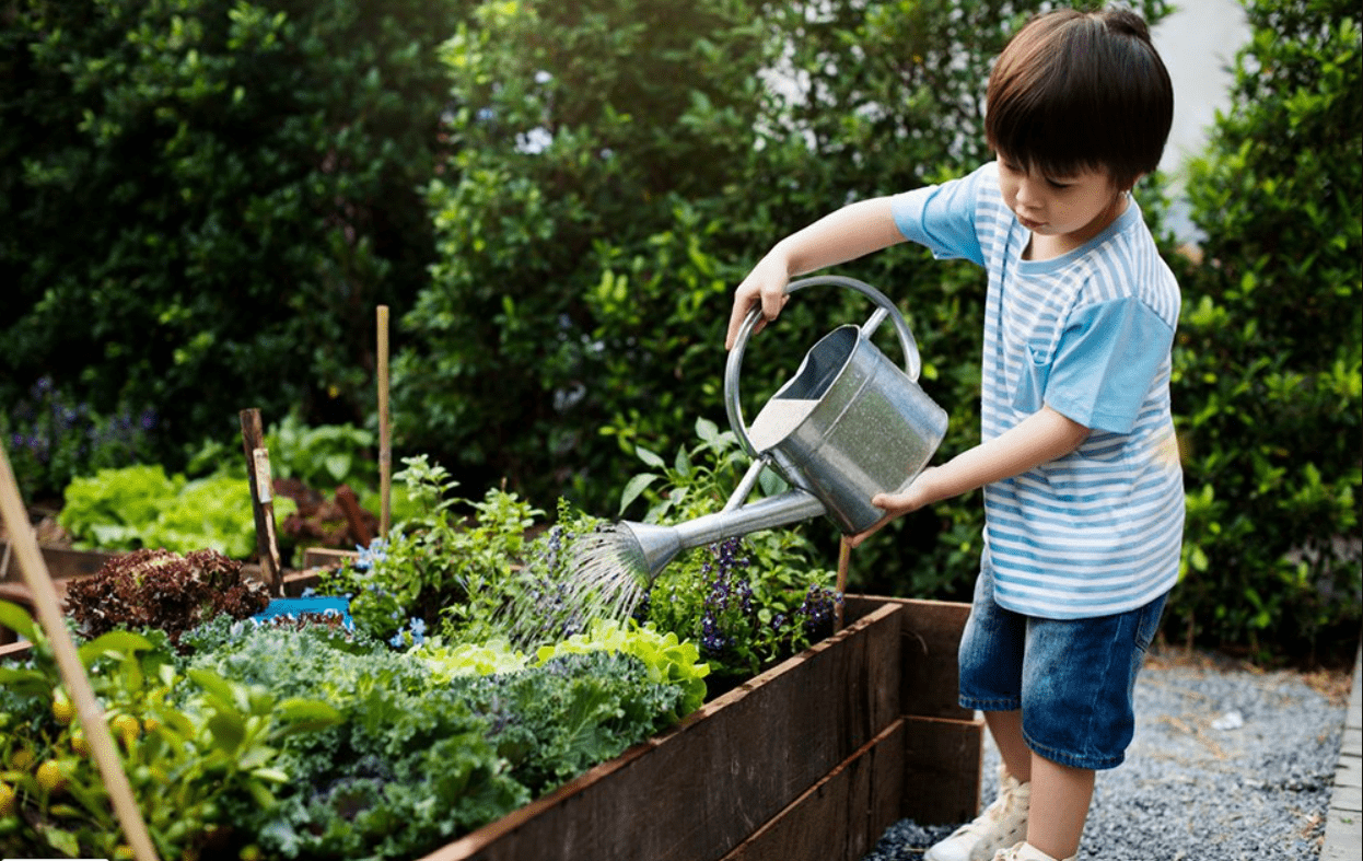 9 Easy Gardening Tips for Beginners