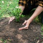 gardening