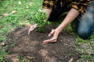 gardening